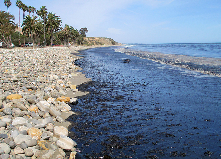 Aftermath of Santa Barbara’s Oil Spill:  What’s Happening in the Marine Environment?