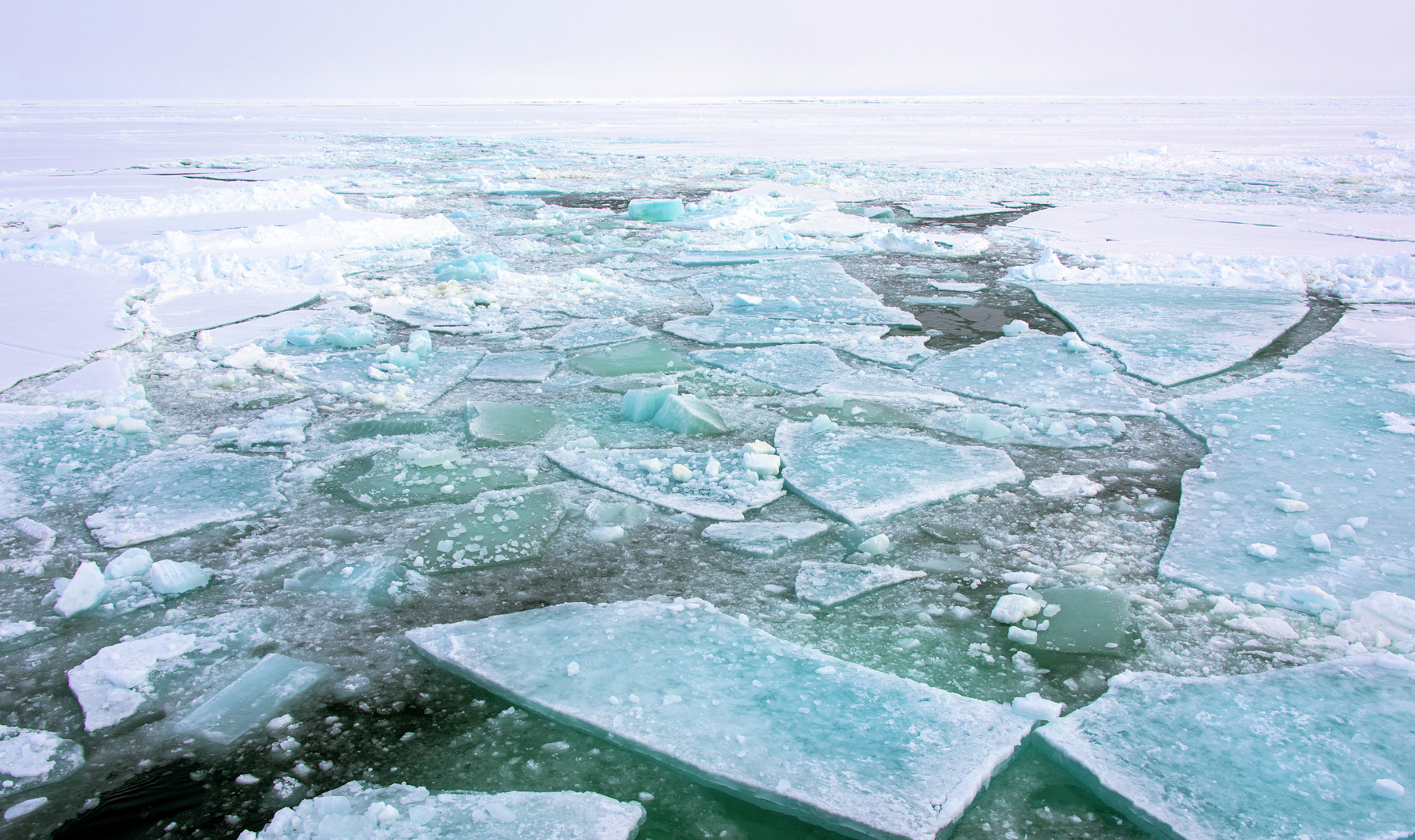 Finding the Arctic in the Swiss Alps