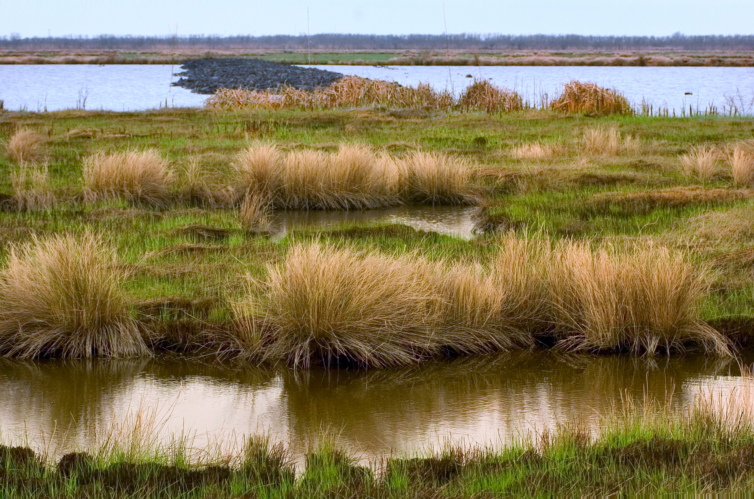 Protecting Our Estuaries