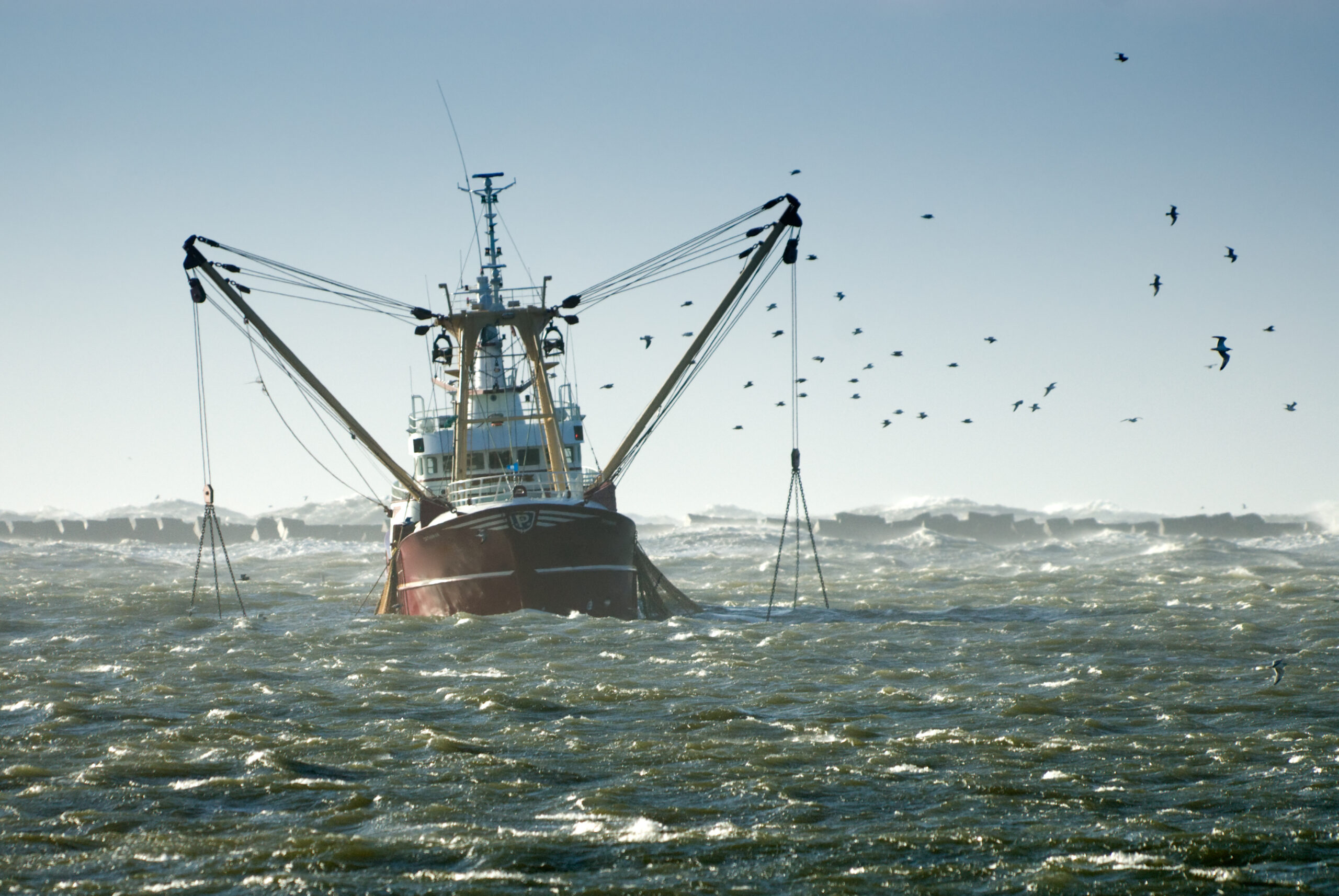 Taking Aim at the Ghosts in Our Ocean