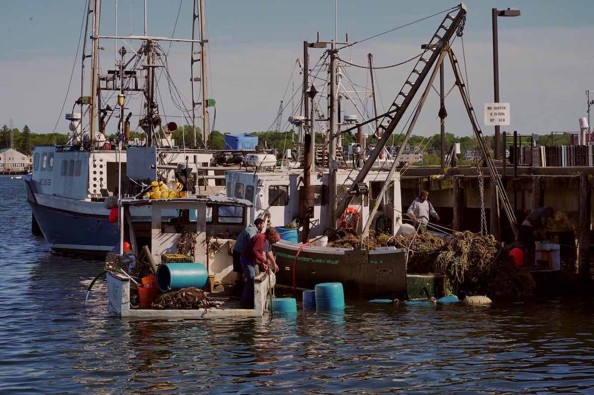 Goodness Gracious, Great Balls of Ghost Gear