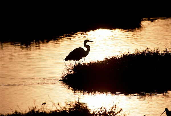 California Leads the Way in Preparing for Climate Change