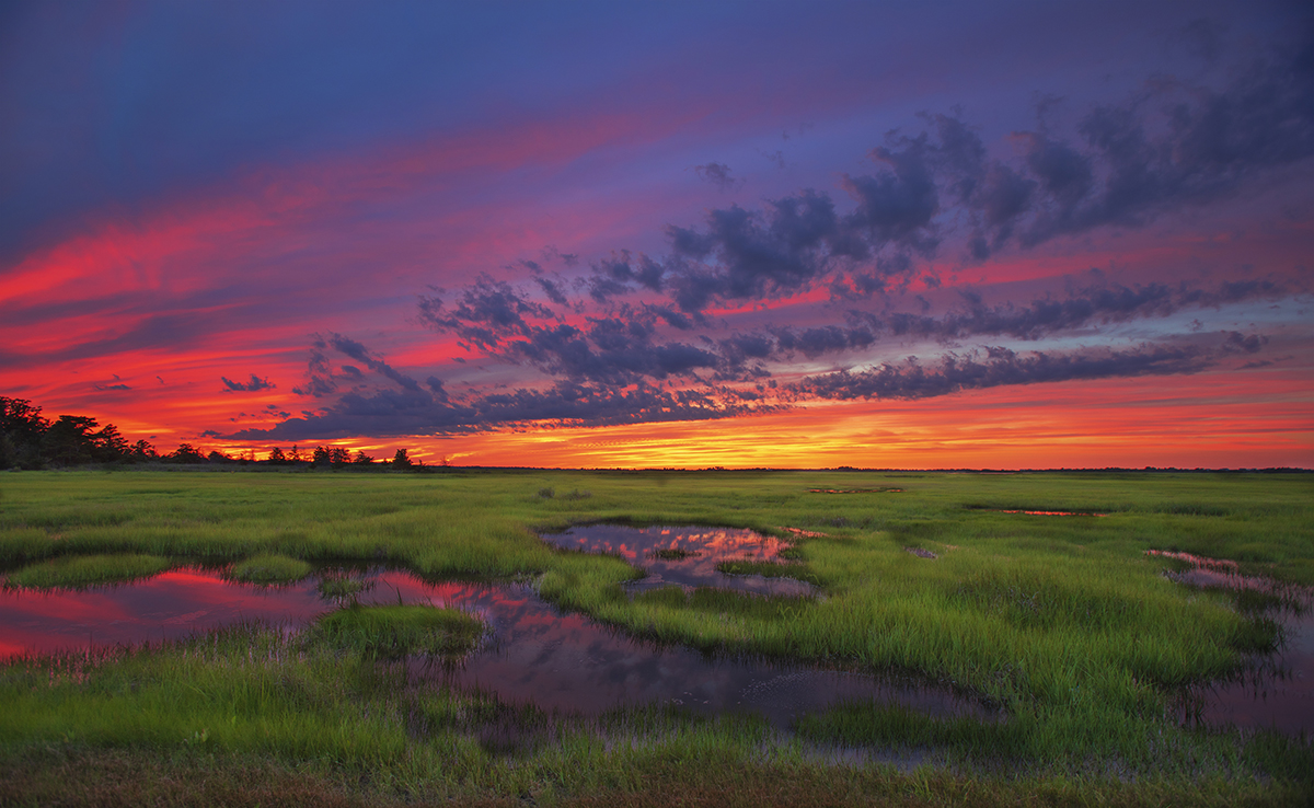 Ocean-Climate Actions to Support the Biden-Harris Plan to Build Back Better