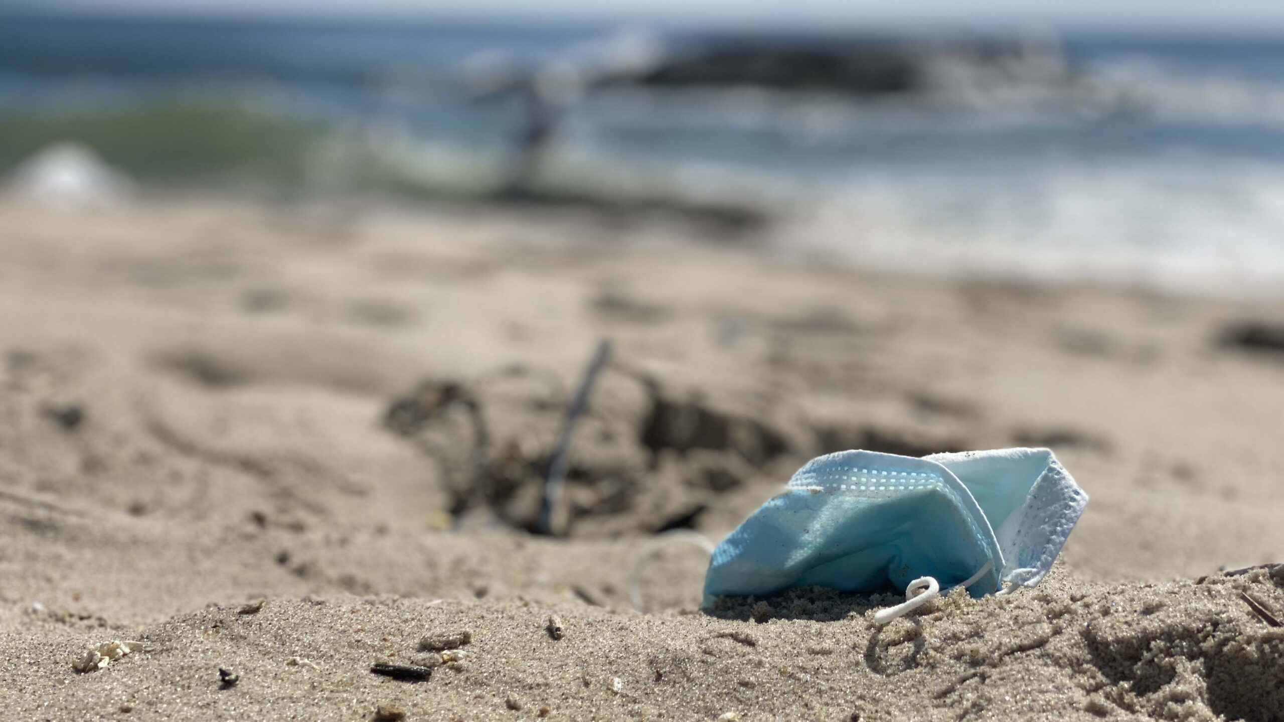 Disposable personal protective equipment found on a beach