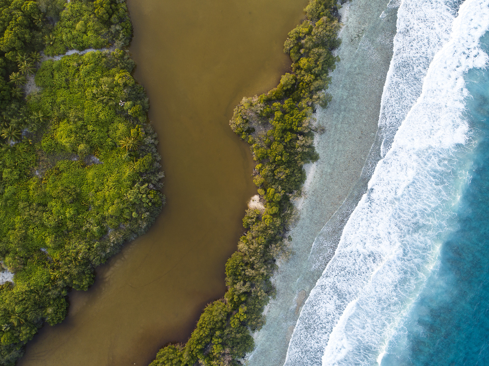 How Oceans Can Help Us Tackle Climate Change