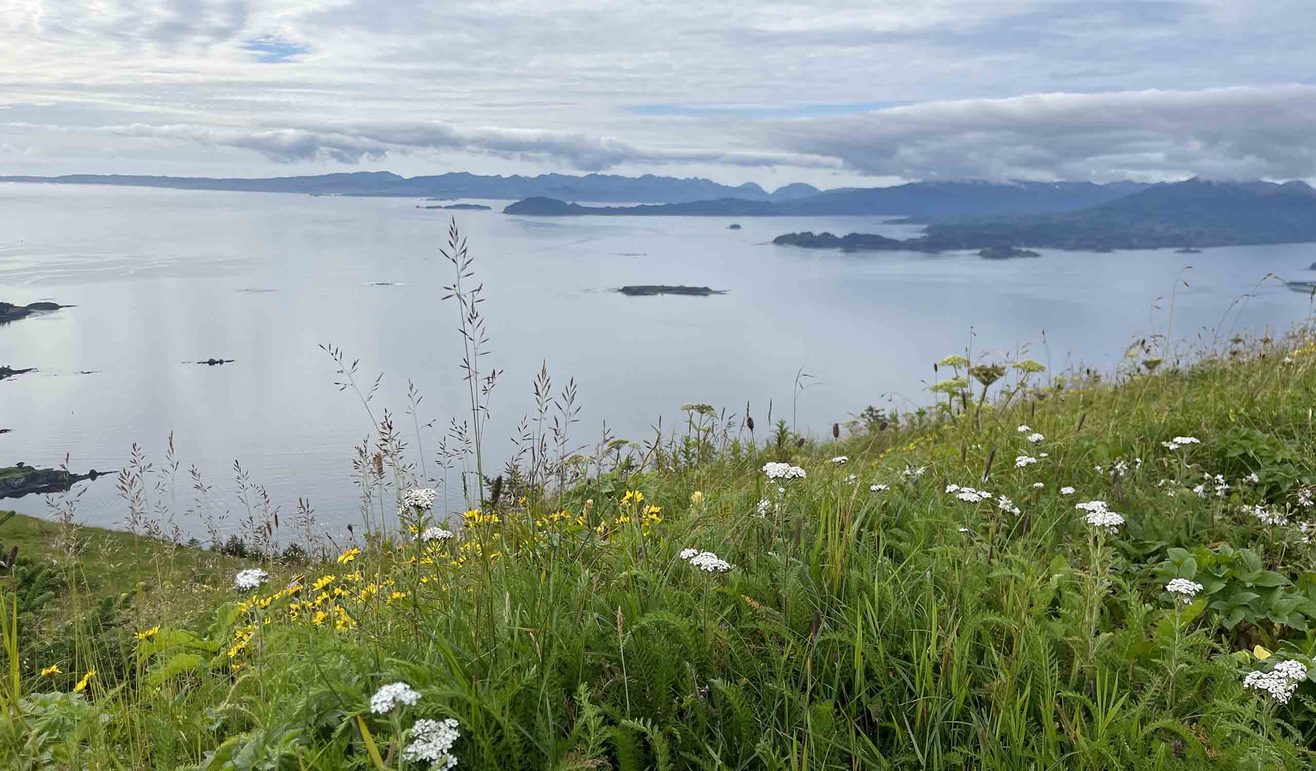 My Trip Along the Alaska Marine Highway System