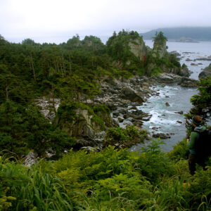 Effects of Marine Debris on Remote Islands