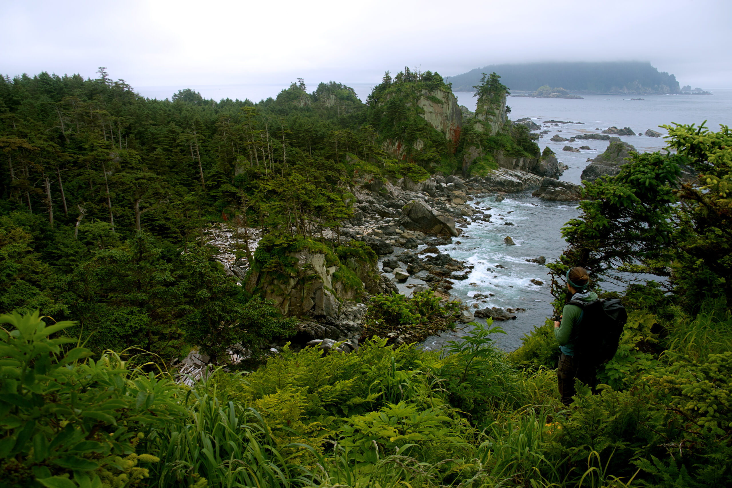 greenery around a seascape