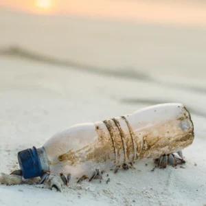 Florida Campaign for #PlasticFreeCities Begins in Miami