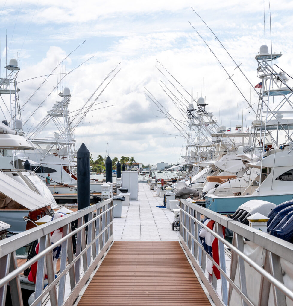 Marina Cleanup