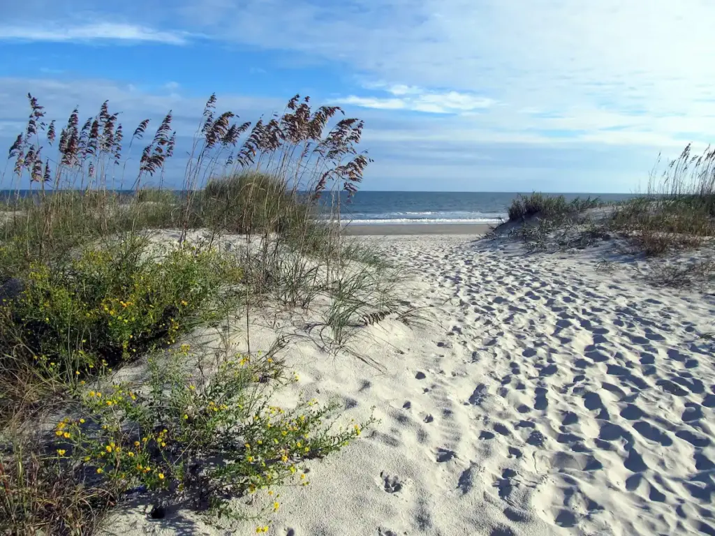 Sand dune