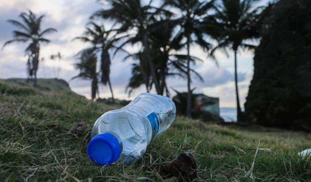 Eliminating Plastics in South Florida