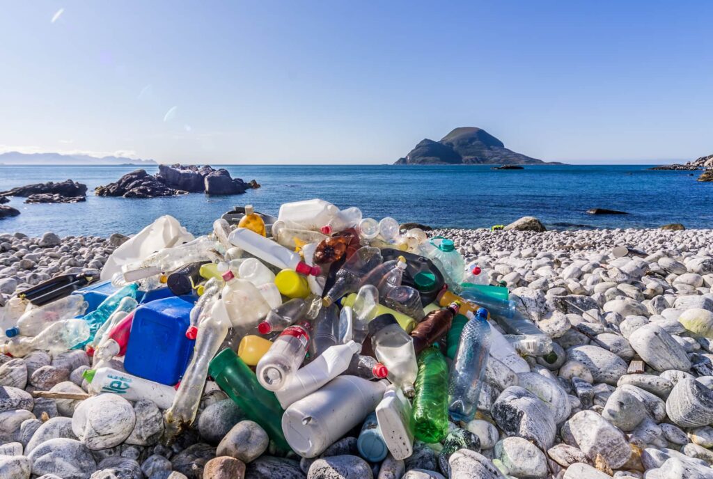 Tackling Plastic Pollution Through Producer Accountability