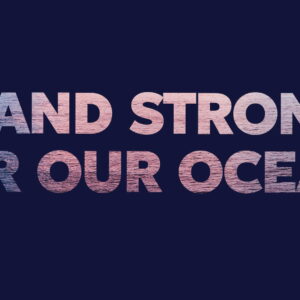 How Our Ocean Will Be Impacted by Another Trump Administration