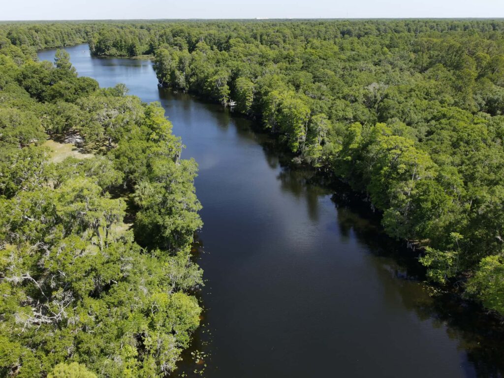 Fingerprinting the Source of Nitrogen Pollution in Tampa Bay