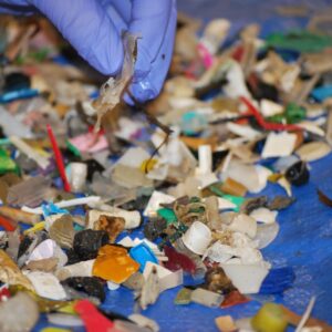 The Truth About Plastic Fragments